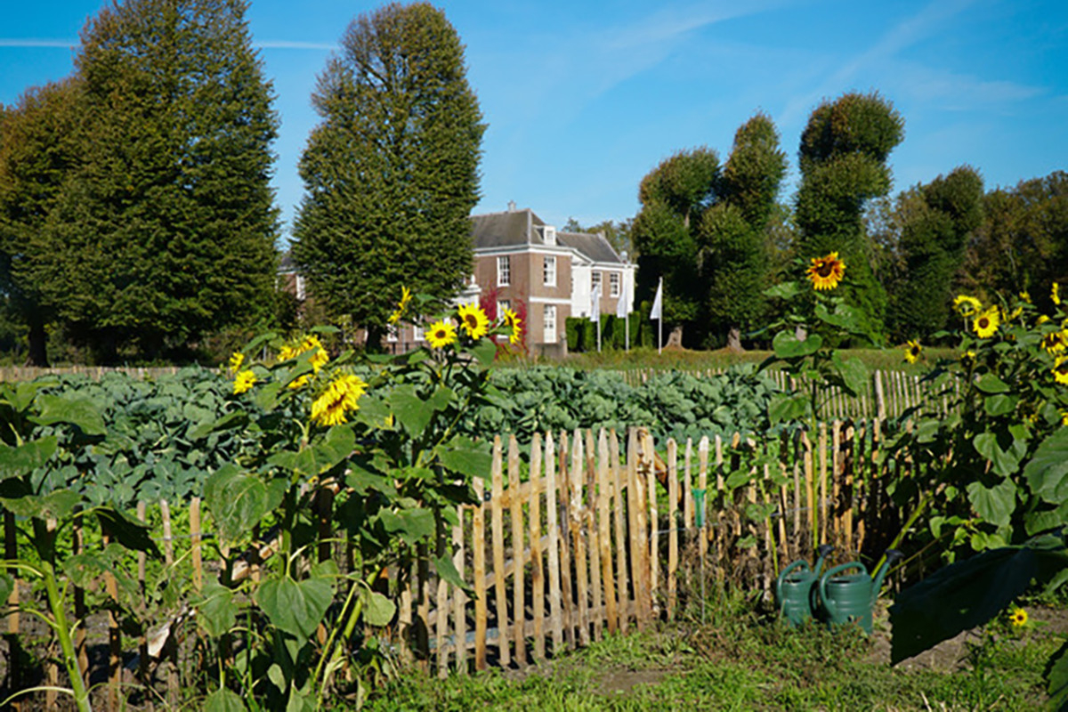 Moestuin voor chateau Marquette