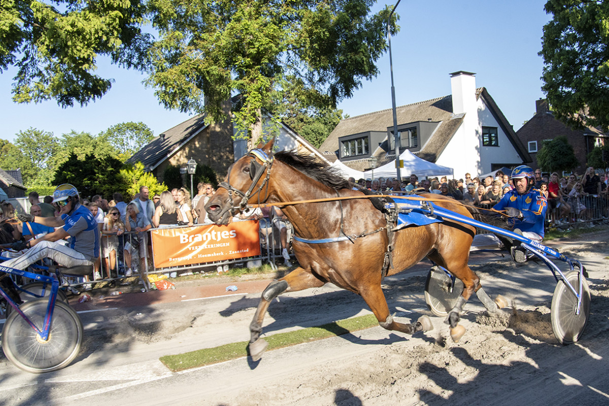 Harddraverij (paarden) racen door de straat