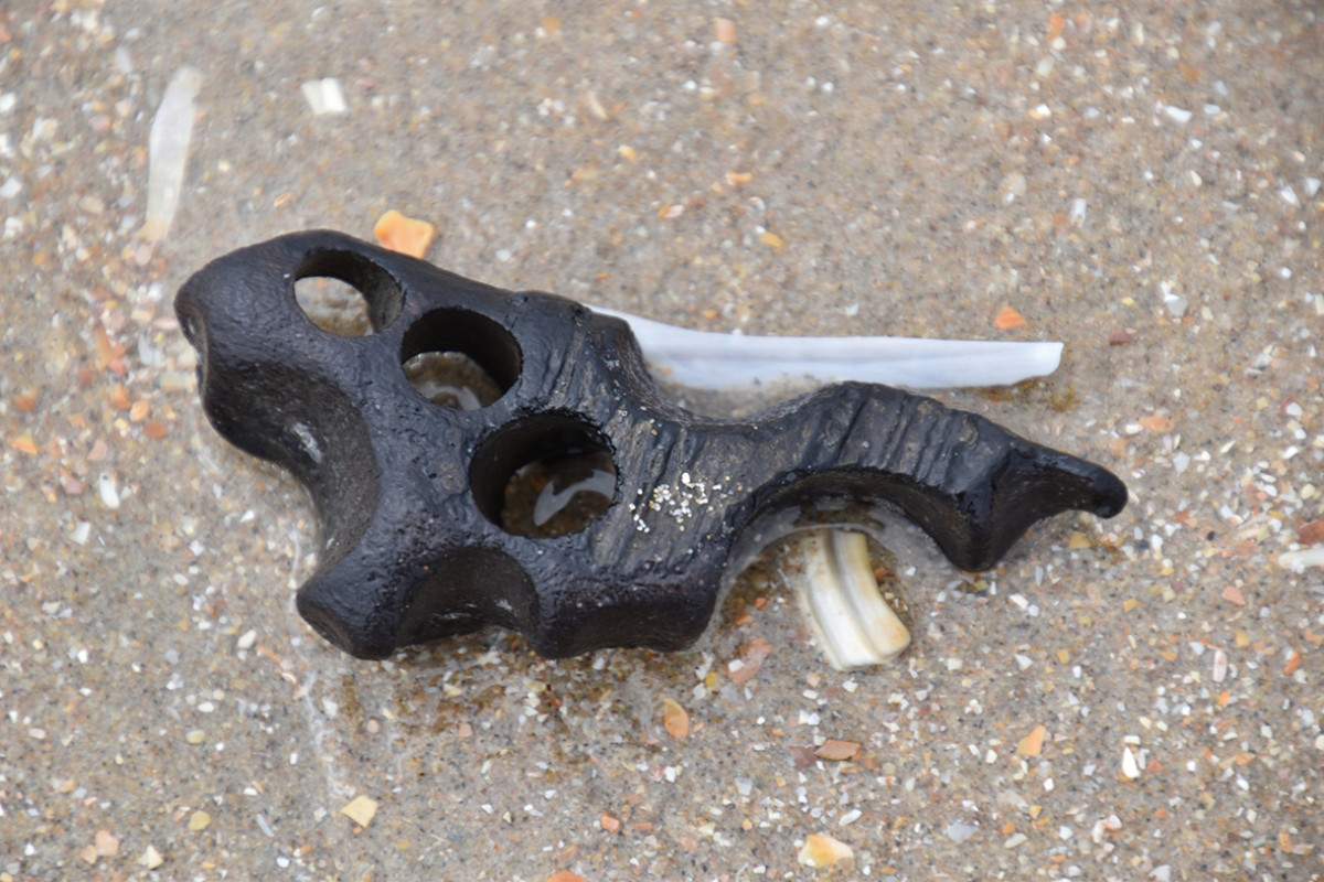 Strandvondst op het strand