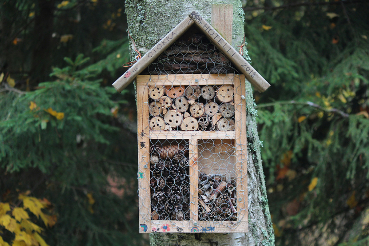 Insectenhotel aan een boom