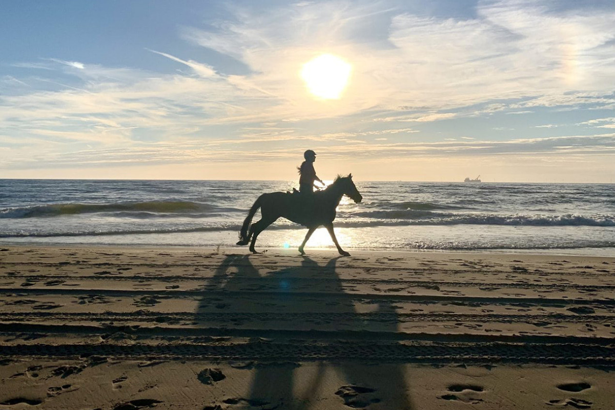 Ruiter op paard op het strand