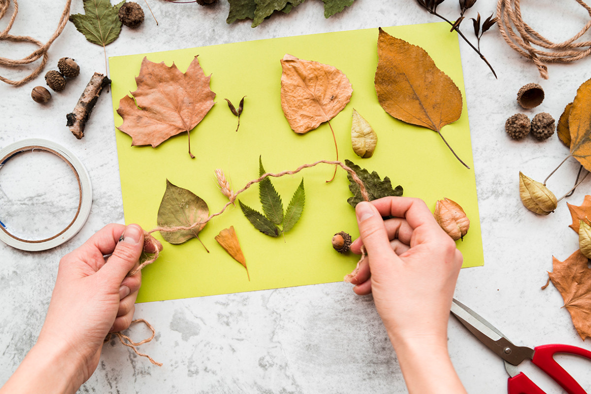 Papieren blad met boomblaadjes erop