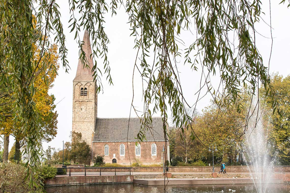 Dorpskerk Heemskerk met op de voorgrond de takken van een boom.