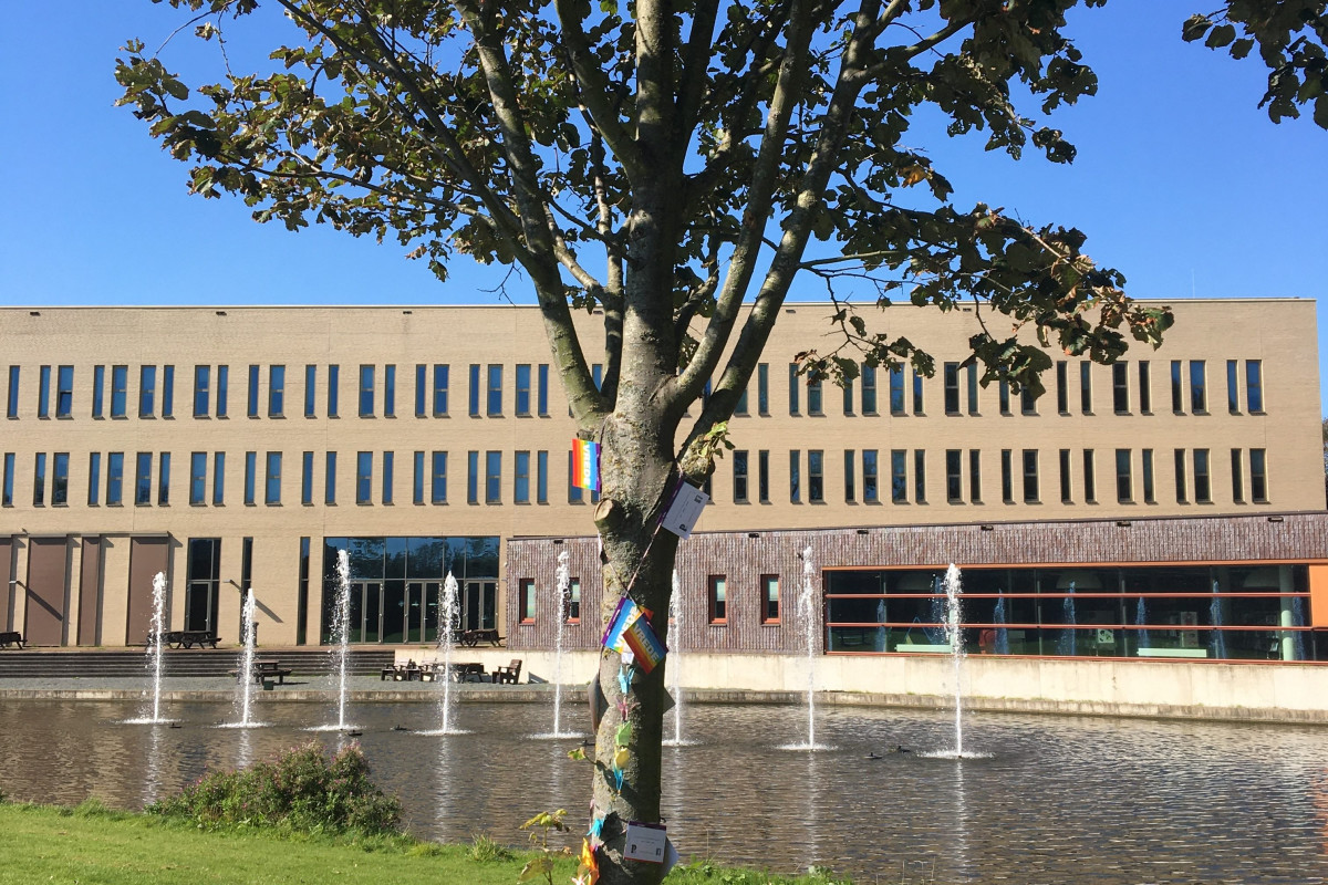 Vredesboom bij gemeentehuis Heemskerk - boom met vlaggen