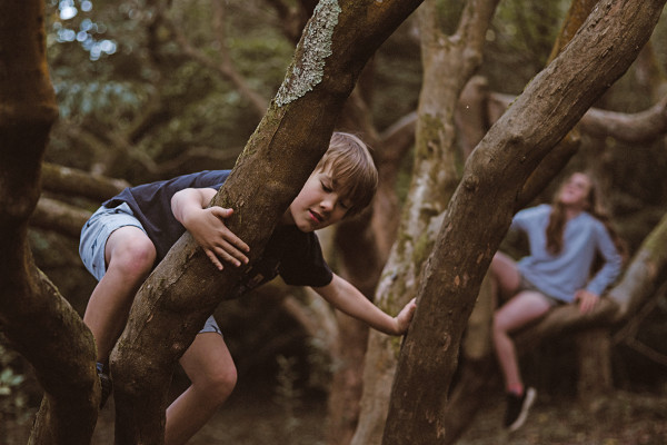 De duinen met kinderen