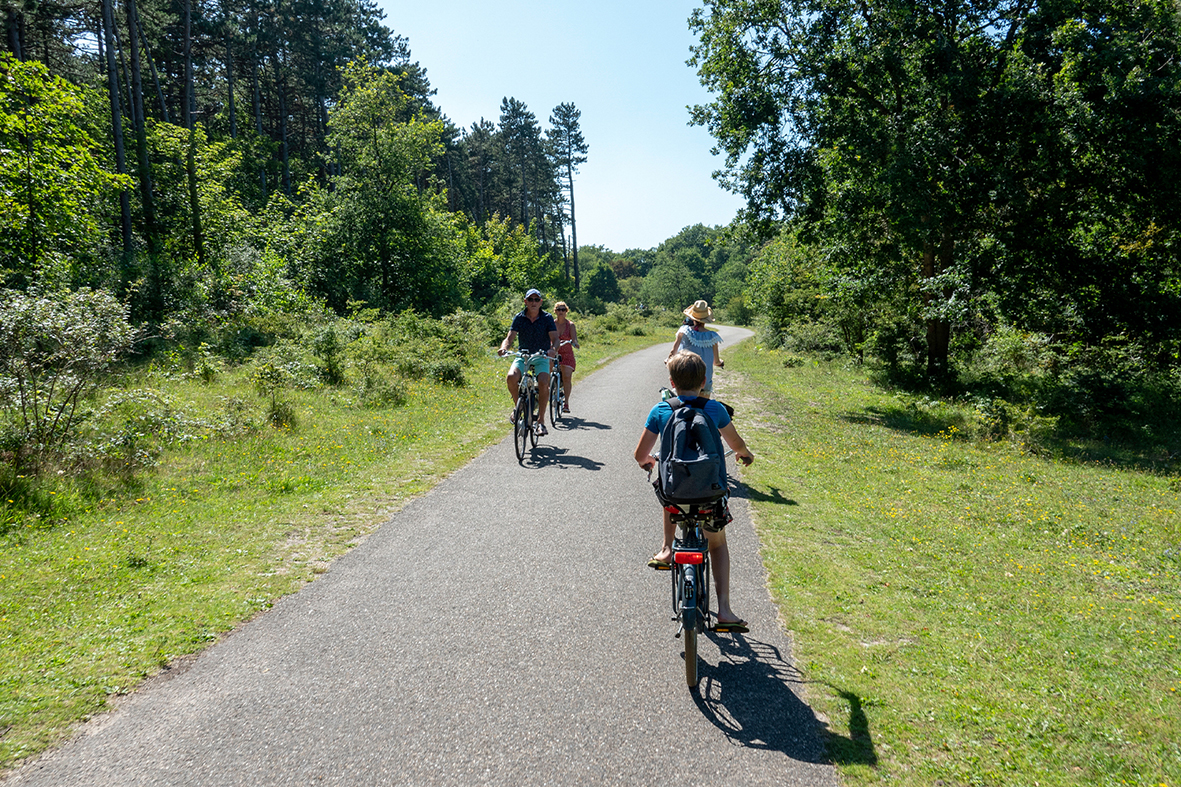 Fietsers op een pad door de duinen, groene omgeving.