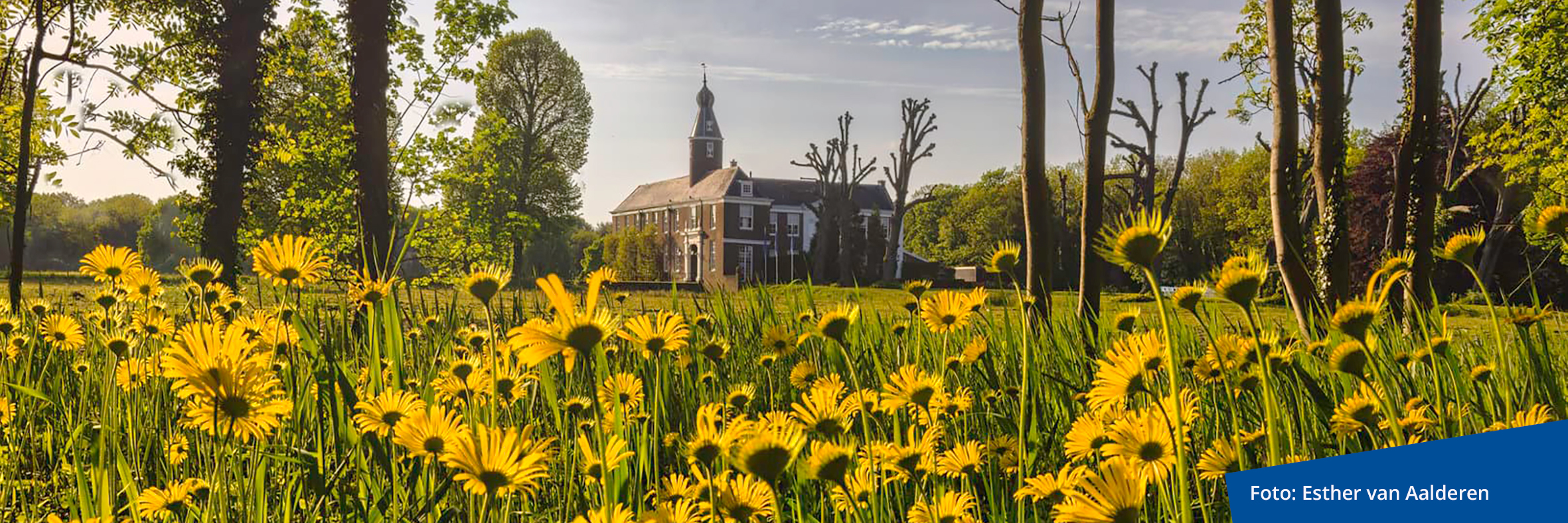 Chateau Marquette in het midden van een veld met gele bloemen, rustig afgelegen tussen de natuurlijke pracht.